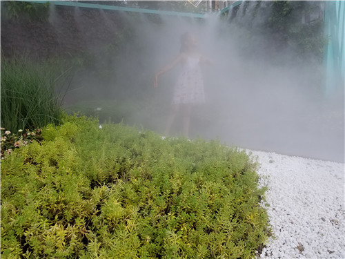 西安园林灌溉带你了解园林植物浇水