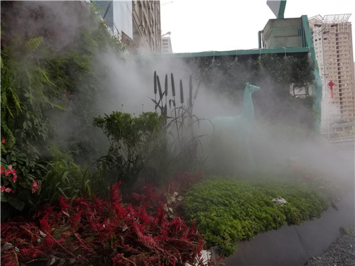 西安植物墙
