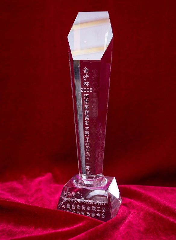 金沙杯2005河南美容美發大賽男士時尚項目一等獎