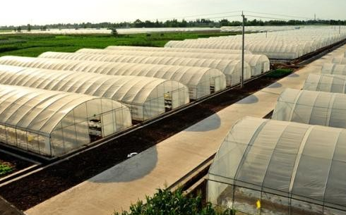 新型农业模式——温室大棚