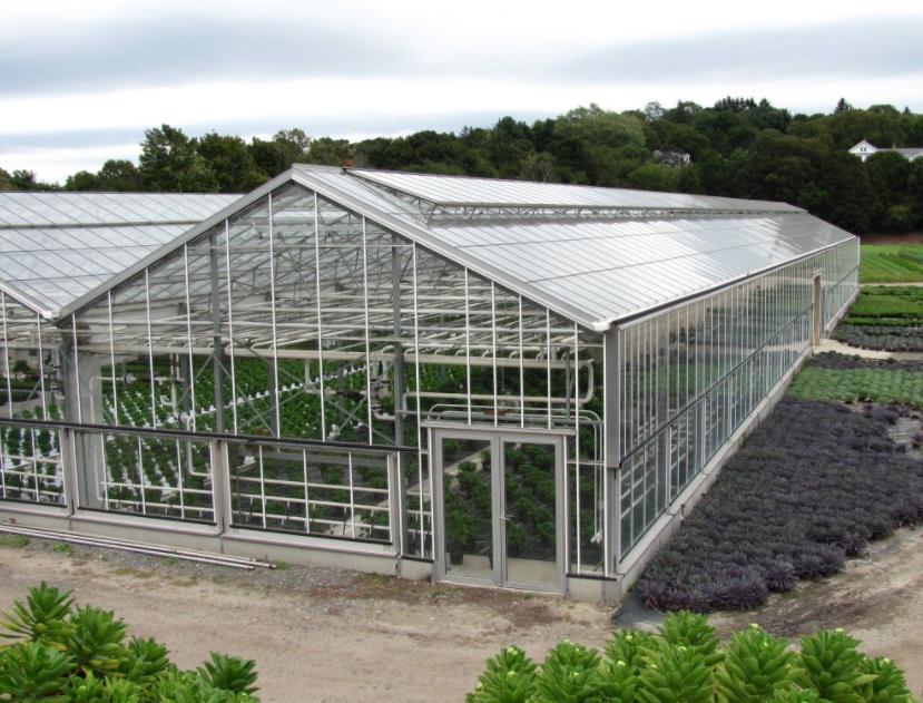 设施农业中常见的五种温室大棚类型，小编教你学会如何选型！