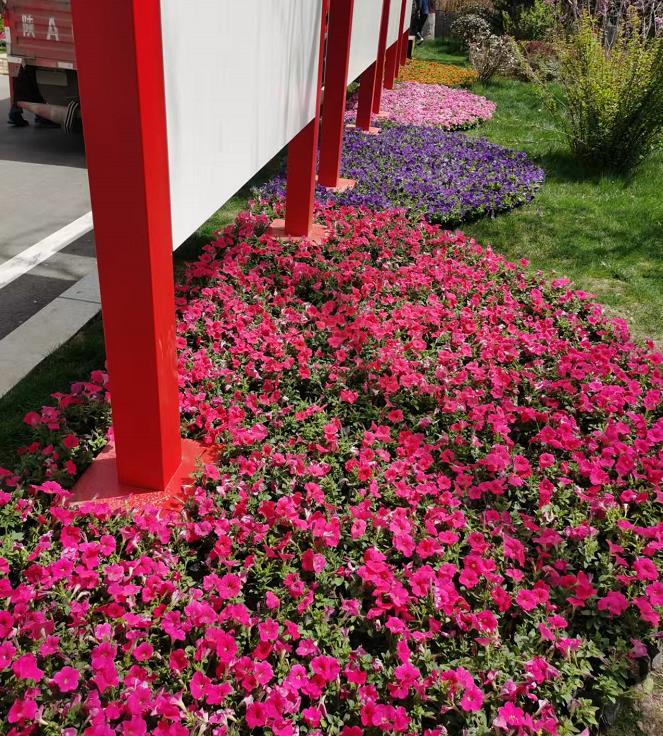 陕煤集团 花镜施工