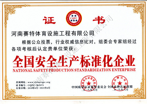 河南赛特体育