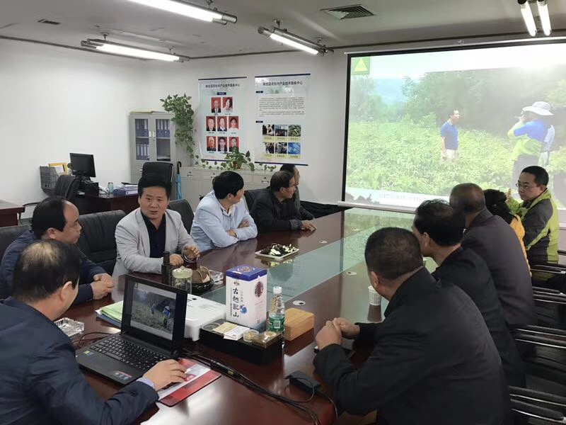 蓝月亮精选五肖发财