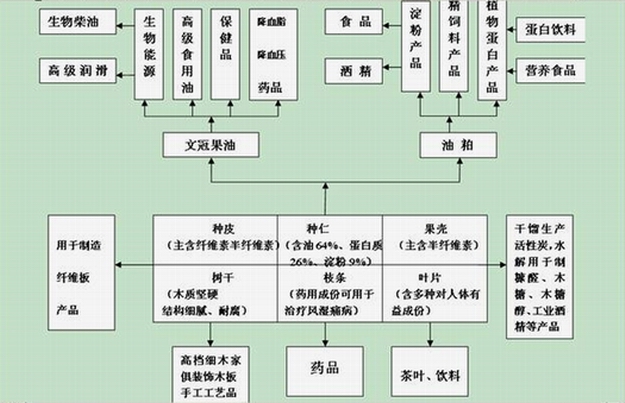 蓝月亮精选五肖发财