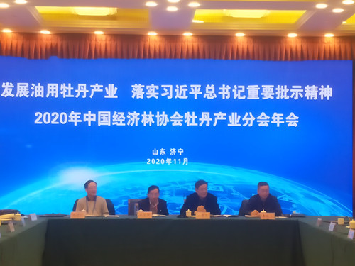 落實習近平總書記重要批示精神!牡丹產業年會和《牡丹籽油》標準審查會在濟寧召開!