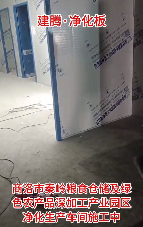 秦岭粮食仓储及绿色农产品深加工产业园区净化生产车间施工中