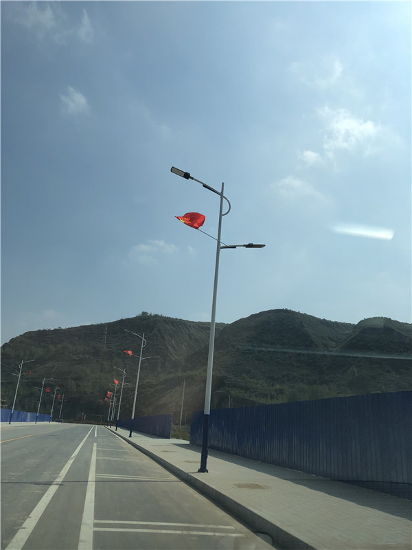 甘肅省慶陽市環(huán)縣 虎洞鎮(zhèn)8米市電 太陽能路燈亮化工程