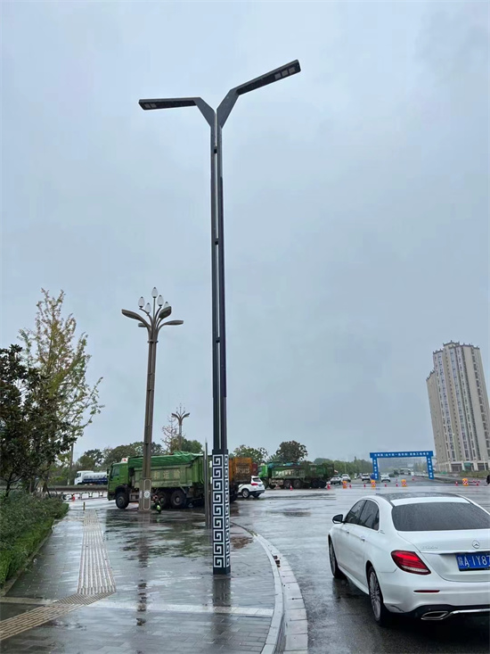 汉中汉台区，10米智能仿古路灯施工案例
