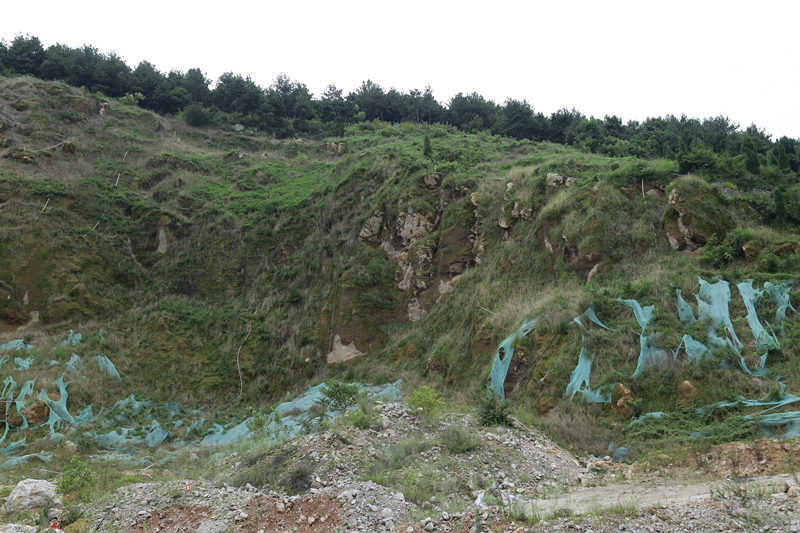 关于陕西土壤改良的过程你知道吗？