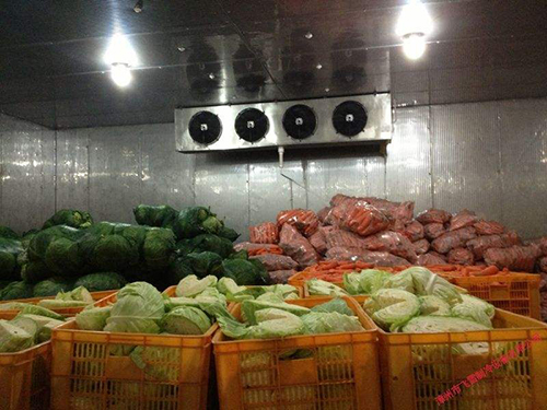 巴中水果蔬菜冷库