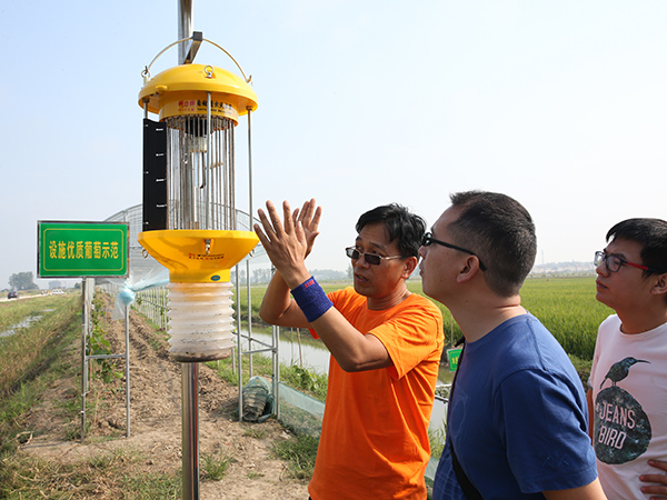 太阳能杀虫灯