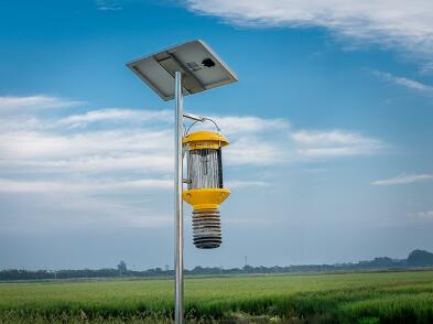 太陽能殺蟲燈廠家告訴你溫室大棚太陽能殺蟲燈作用和效果