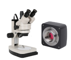 凤凰光学显微镜+XTL-165MT+数码体式显微镜