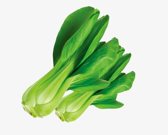 青菜