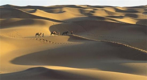 新疆借沙为“宝” 沙漠特色旅游成“热点”