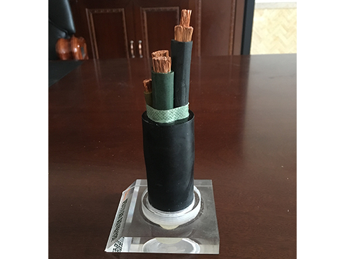 重型橡套耐油软电缆（YCW-450/750V 3*70+1*35mm^2）