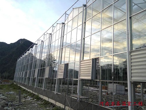 贵州铜仁PC板-玻璃温室