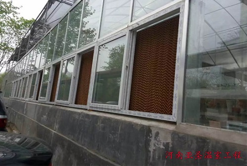 玻璃-阳光板温室