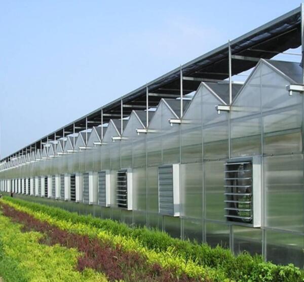 连栋温室大棚和屋面的建设方法是什么？