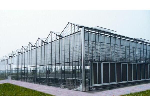 什么是玻璃温室大棚，有何结构特点？