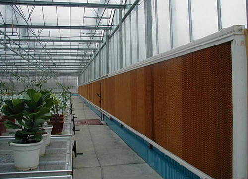 连栋温室大棚内的通风系统介绍。