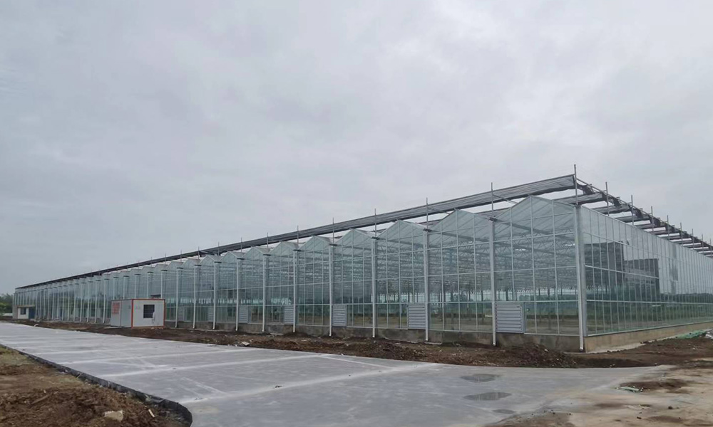 兰州智能玻璃吊挂种植温室