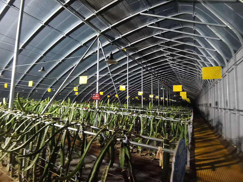河南温室大棚：种植业现状与挑战
