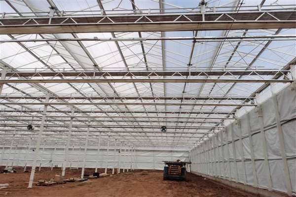 河南温室大棚对农业发展的影响分析