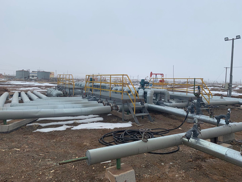 新疆石油公司采油厂检测CO2和O2在线分析系统使用现场