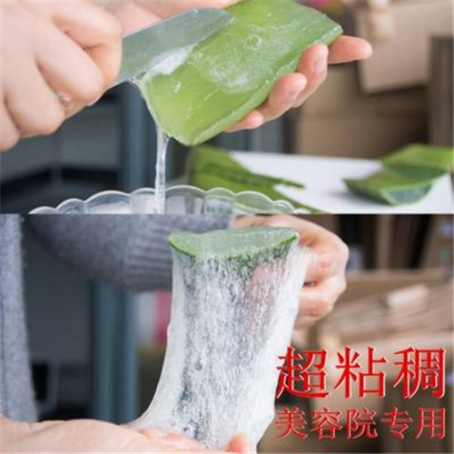 河南芦荟灌肤招商