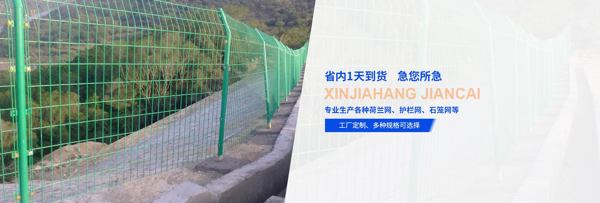 成都荷兰网
