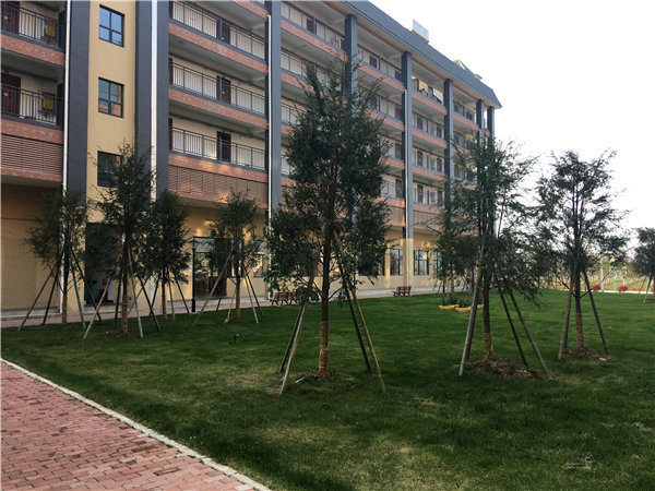 荆门园林绿化公司