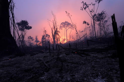 巴西亚马孙雨林火灾四起，较去年同期上涨85％