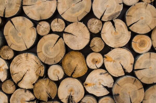兰州木材加工厂