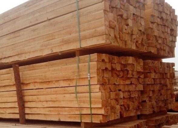 木材资源可再生 可是就不需要节约吗