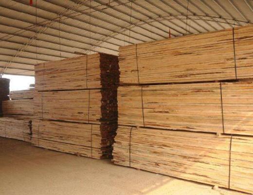 在木材加工厂，一定要注意的一件事情是什么？
