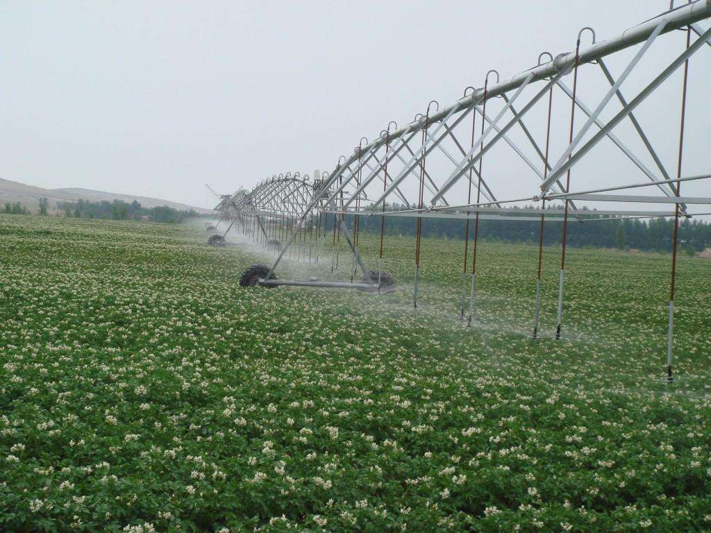 科普||节水灌溉包括哪些措施