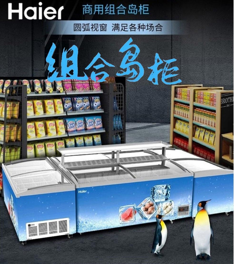 海尔(Haier)冰柜商用展示柜大容量双门冷冻海鲜柜电子温控卧式组合柜 SD-657HEL冷链