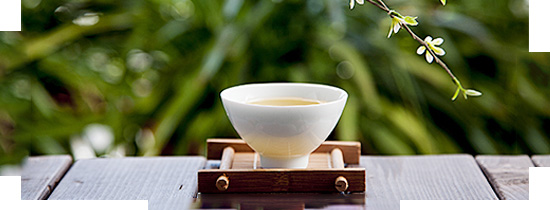 陜西唐生科技發展有限公司