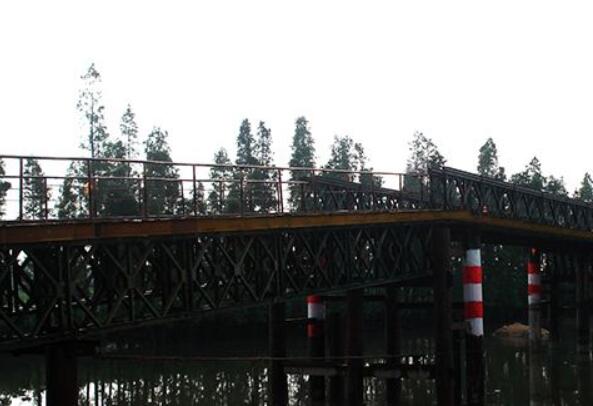 安装成都钢便桥可以选择的桥梁形状