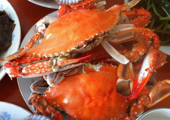 说到吃螃蟹，哪种蟹你更喜欢吃呢?这些螃蟹的吃法你知道吗?(下)