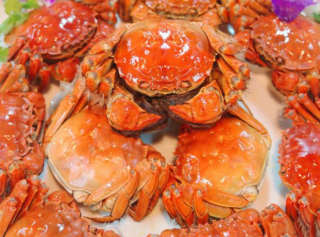 没蒸熟的螃蟹能吃吗？新疆大闸蟹厂家的小编为您解答！