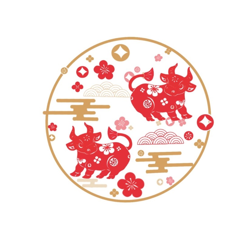 華龍鋼結(jié)構(gòu)，祝大家新年快樂(lè)！