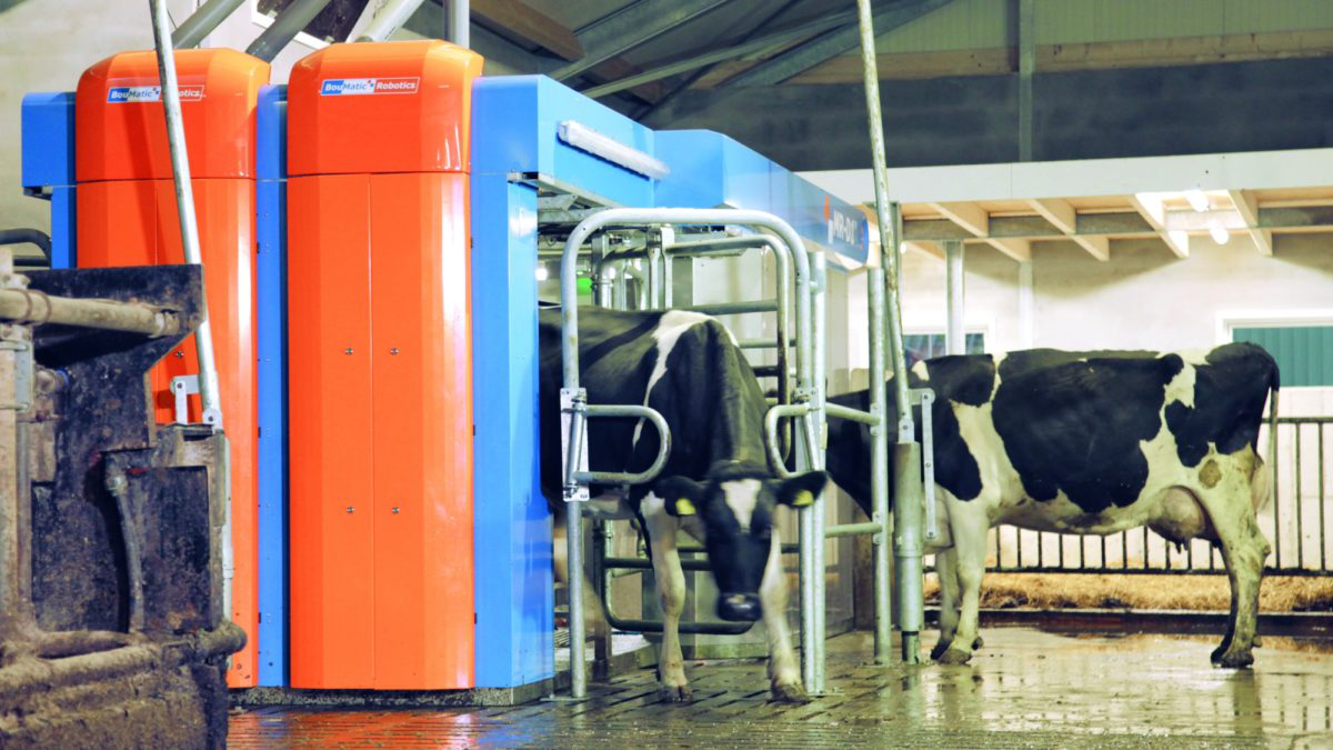 挤奶机的真空泵的主要功能