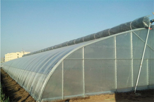 陕西温室大棚建设