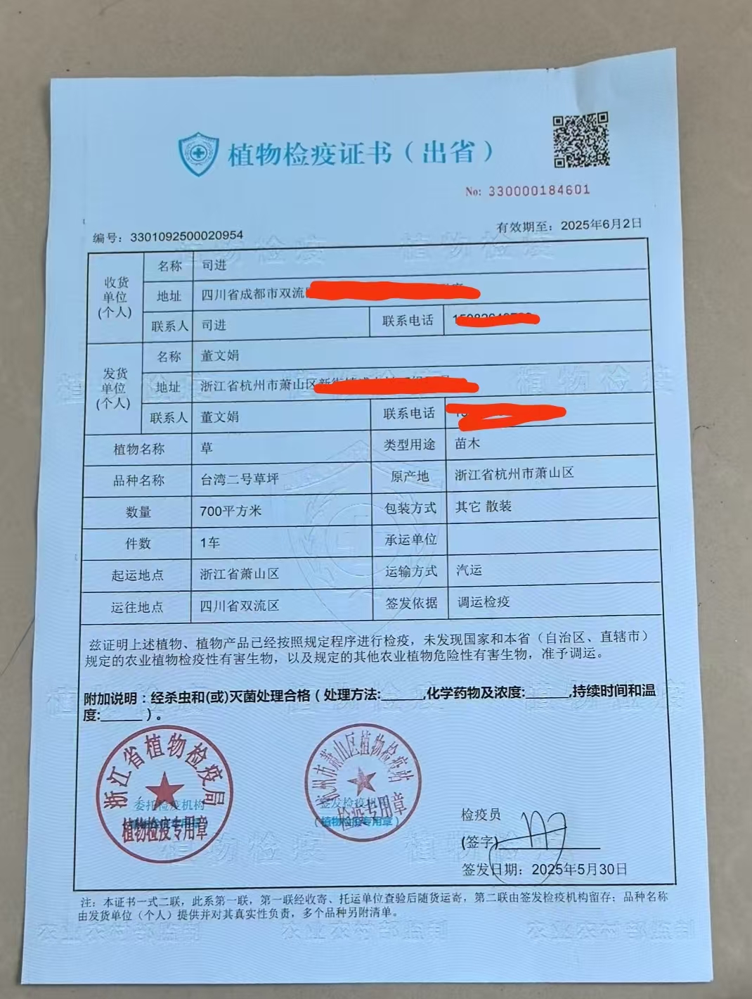 马尼拉草皮检疫证证明办理指南
