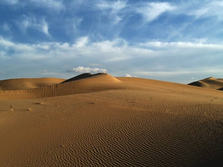 库布齐沙漠是中国第七大沙漠