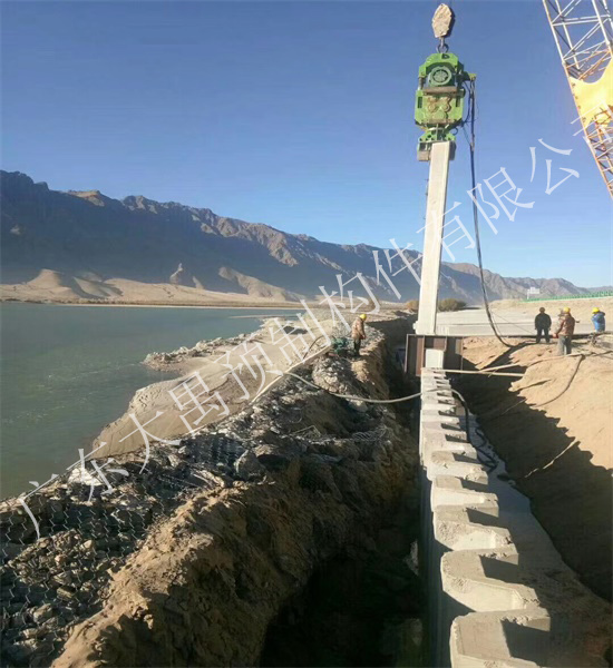西藏聖地版的廣東生態向日葵色板视频樁