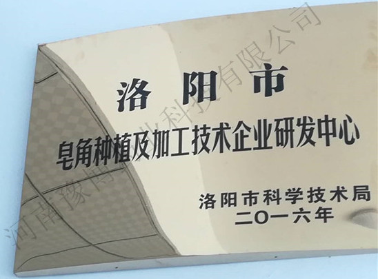 洛阳市皂角种植及加工技术企业研发中心